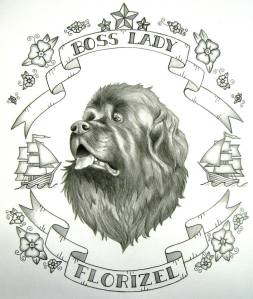 Newfoundland Dog. Graphite on paper.